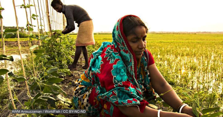 UN Food Systems Summit moves ahead as some express skepticism