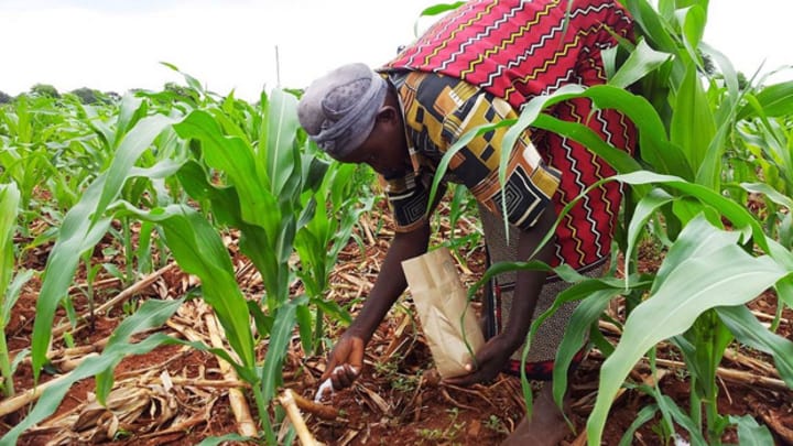 Time to end the false debate of organic vs. mineral fertilizer | Devex