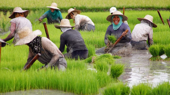 Top Employers In Agriculture And Rural Development A Primer Devex