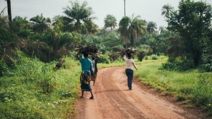Is A Master S Degree In International Development For You Devex