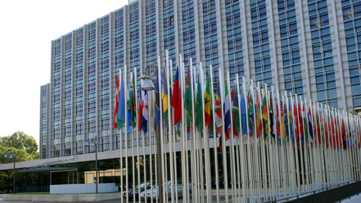 IFAD launches new agriculture investment fund, looks to ...