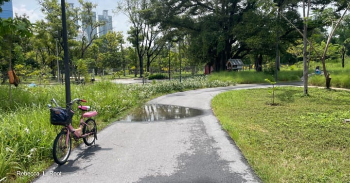 Can tax breaks help Thailand take on NCDs?