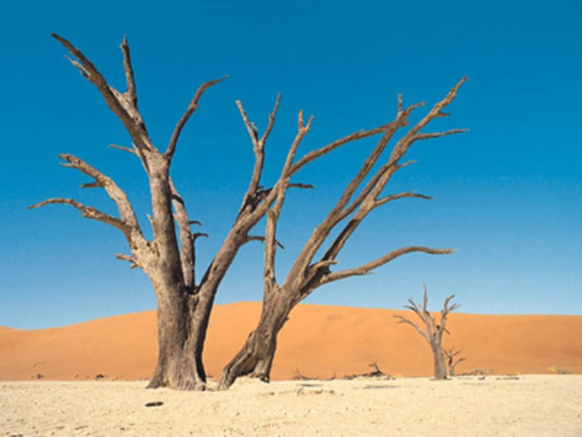 CGI experts discuss climate change, sustainability | Devex