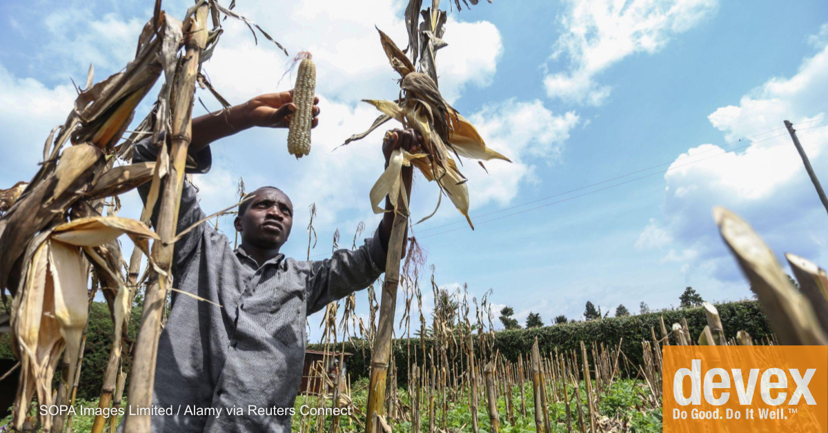 Kenya lifts ban on modified foods despite strong opposition