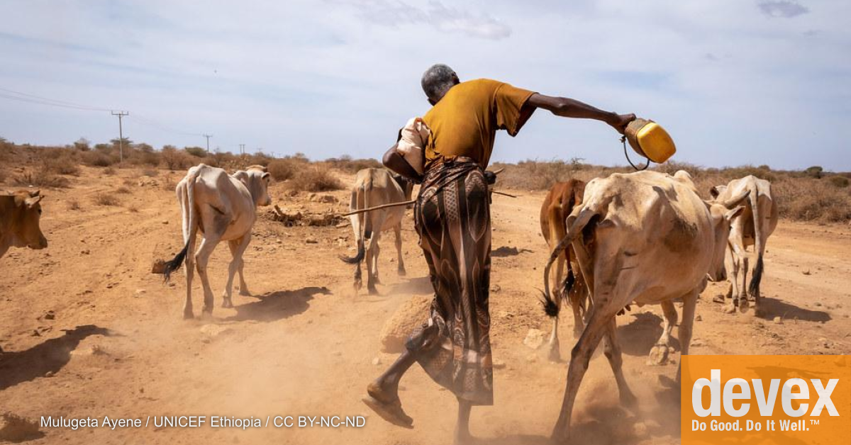 On Africa's farms, the forecast calls for adaptation and innovation