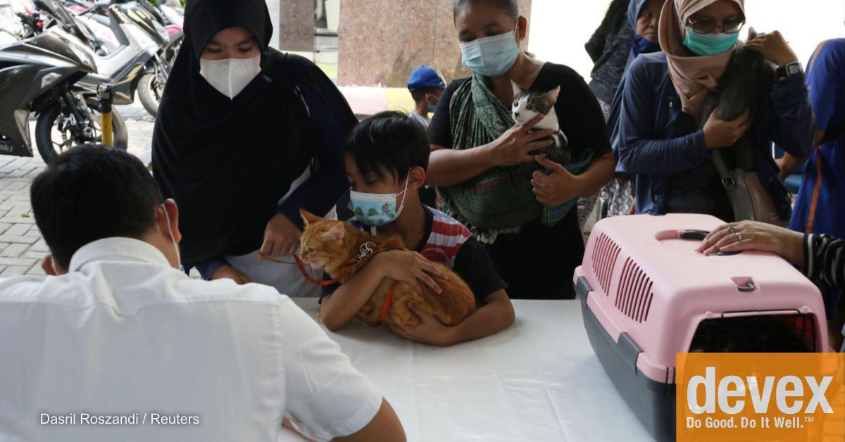 Opinion What we can learn from the rabies response in Southeast Asia