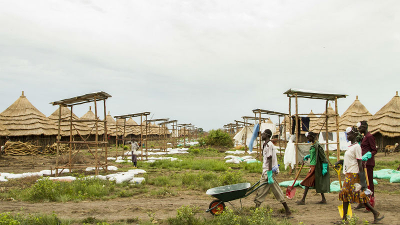 Full sanitation in rural areas is a century away, warn expert groups ...