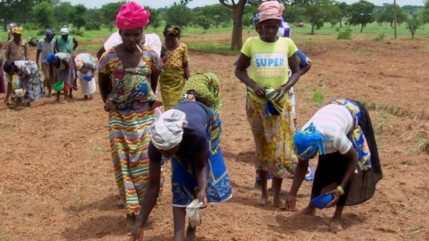 Empowering women to improve farming productivity in northern Ghana | Devex