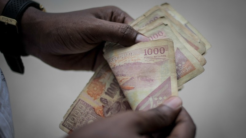 Opinion: How To Fill The Remittance Gaps Left By Covid-19 | Devex