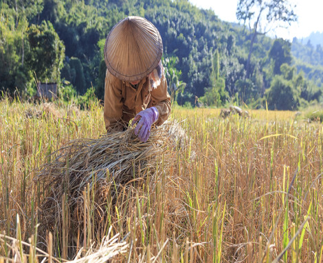 Agriculture 2