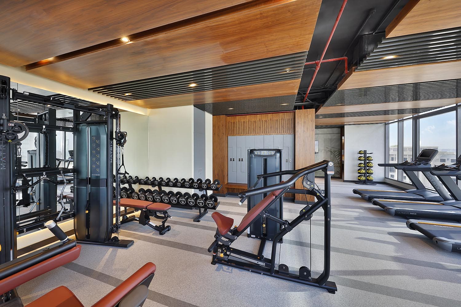 Gym Equipment Weights