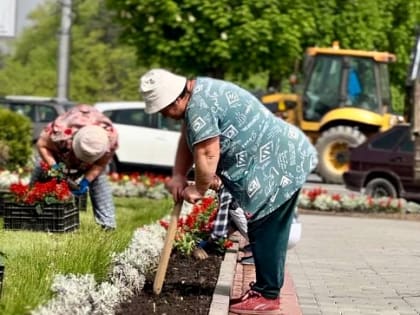 Во Владикавказе начались посадки цветущей рассады.