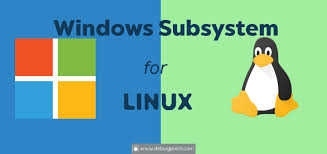 WSL article illustration