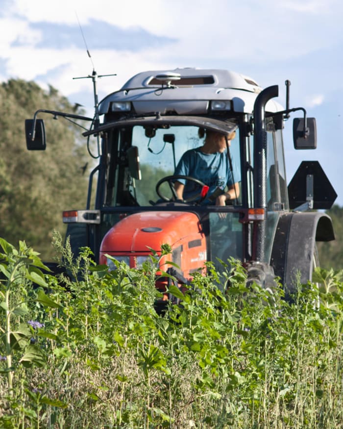 Boer op de tractor in een bloeiend veld — Horaholm