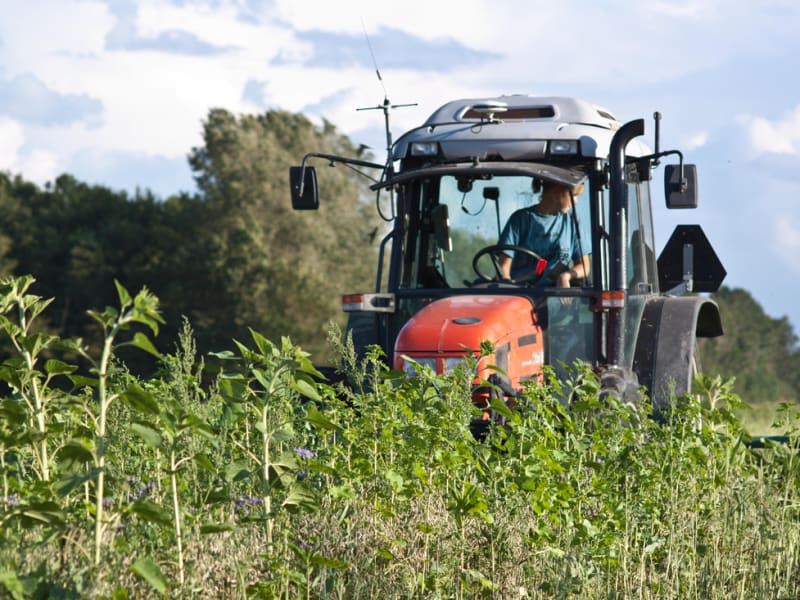 Horaholm — Regeneratieve landbouw in Zweden