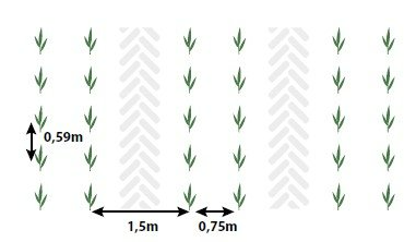 Planting Plan.png