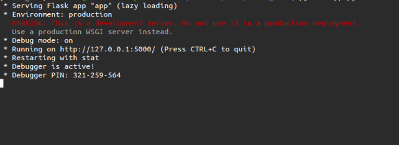 Running flask app