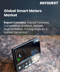 Global Underwater Drone Market