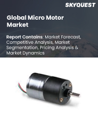 Global Micro Motor Market