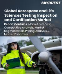 Global Aerospace and Life Sciences Testing, Inspection, and Certification Market