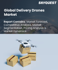 Global Delivery Drones Market