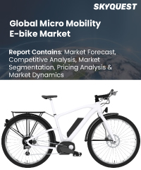 Global Micro mobility E-bike Market