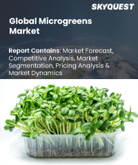 Global Biochar Market