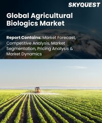 Global Amaranth Market