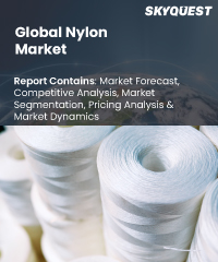 Global Nylon Market