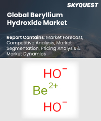 Global Beryllium Hydroxide Market