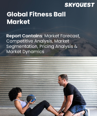 Global Fitness Ball Market