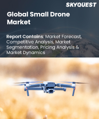 Very Small Aperture Terminal (VSAT) Market