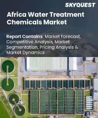 Africa Water Treatment Chemicals Market