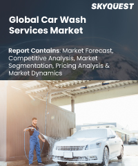 Interior Car Accessories Market Analysis Report 2021