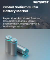 Global Sodium Sulfur Battery Market