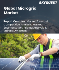 Global Spatial Light Modulator Market