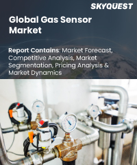 Global Gas Sensor Market