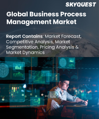 Global Business Process Management Market Size and Forecast to 2030