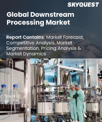 Global Downstream Processing Market