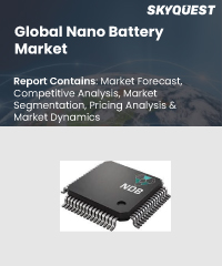 Global Nano Battery Market