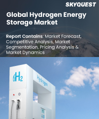 Global Hydrogen Energy Storage Market
