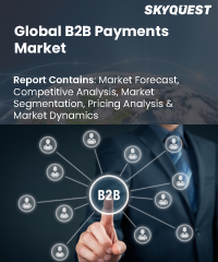 Global B2B Payments Market