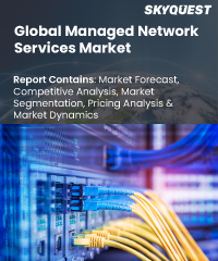 Global Managed Network Services Market