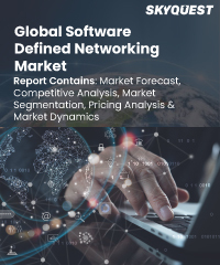 Global Software Defined Networking Market