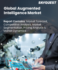 Global Augmented Intelligence Market