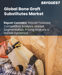 Global Bone Graft Substitutes Market