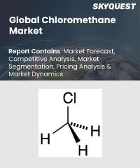 Global Chloromethane Market