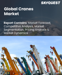 Crane Market - Size, Share, Trends & Growth