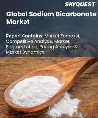 Global Sodium Bicarbonate Market