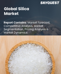 Global Silica Market